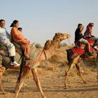 Camel Safari in Rajasthan Tour