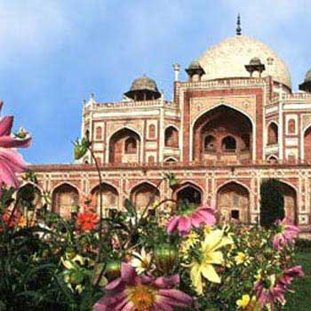 Adventure India - Wildlife Escapades