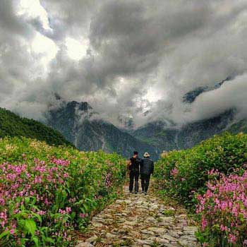Himalayan Trails - Valley of Flowers Trek Tour