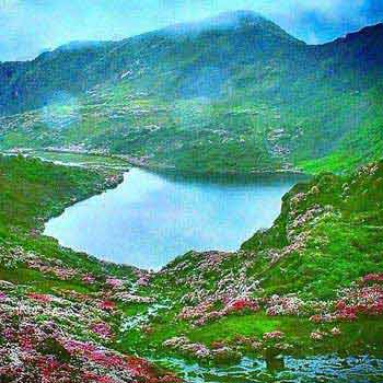 North East Nature Tour