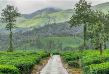 KERALA TOUR PACKAGE