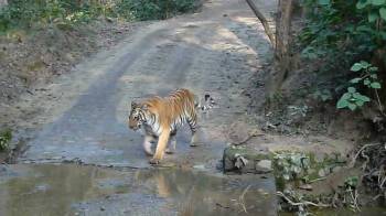 Corbett Tour