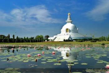 7 Days Buddhist Sector Tour