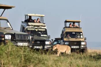 10-Day Kenya Tanzania Best Game Parks Safari Experience