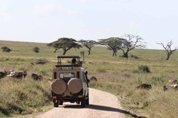 7 Day Budget Safari Adventure In Tanzania Tour