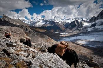 12 Night Bhutan - Dagala Thousand Lakes Trek Tour