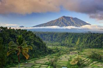 5N - 6D Bali Bliss Getaway Tour